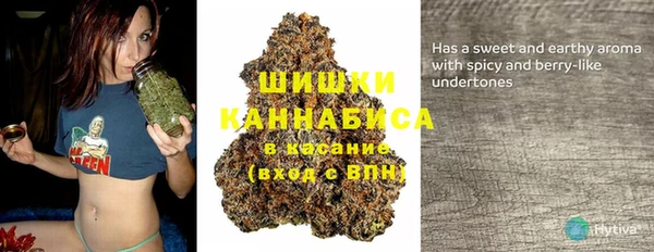 шишки Баксан
